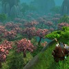 Capture de World of Warcraft: Mists of Pandaria
