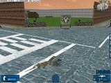 Capture