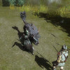 Capture de Neverwinter Nights 2