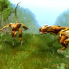 Capture de Neverwinter Nights 2
