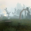 Capture de Neverwinter Nights 2