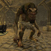 Capture de Neverwinter Nights 2