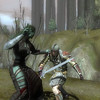 Capture de Neverwinter Nights 2