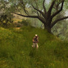Capture de Neverwinter Nights 2