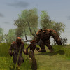 Capture de Neverwinter Nights 2