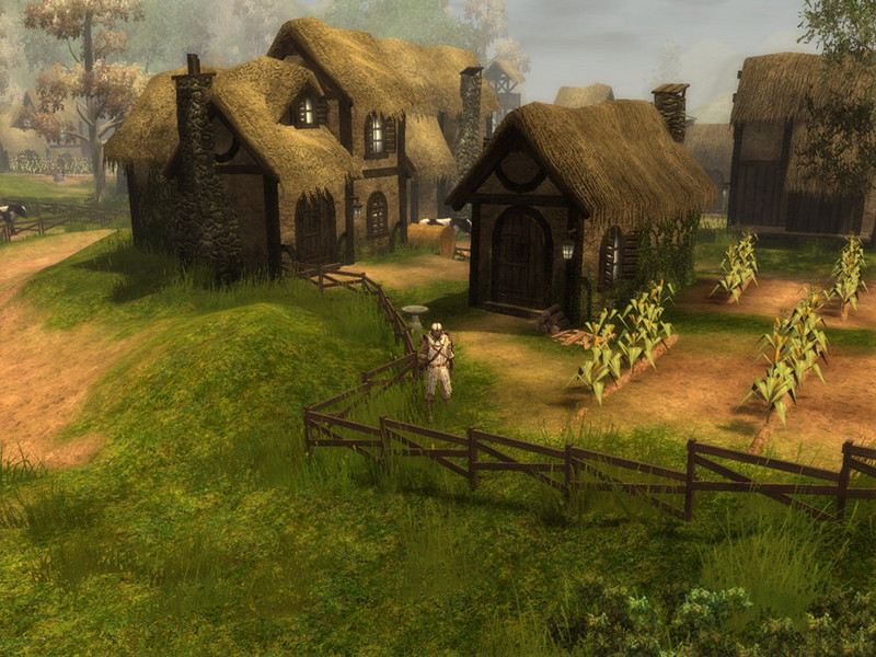 Capture de Neverwinter Nights 2