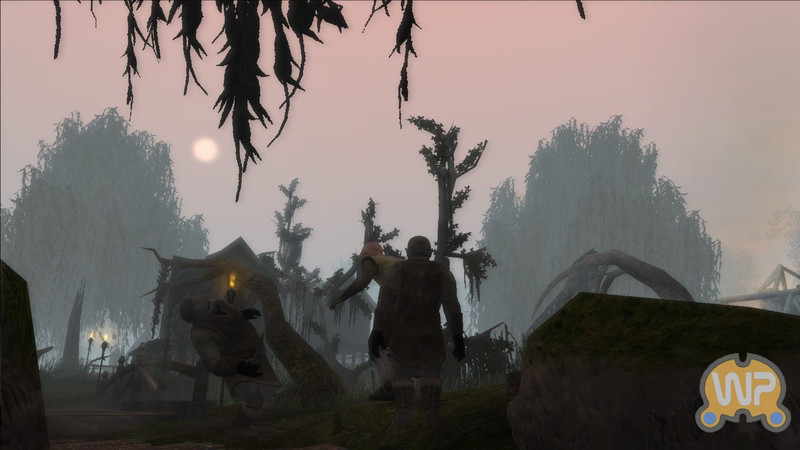 Capture de Neverwinter Nights 2