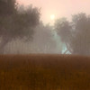 Capture de Neverwinter Nights 2