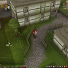 Capture de RuneScape