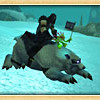 Capture de Blizzard Entertainment