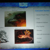 Capture de Blizzard Entertainment