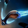 Capture de Star Trek Online