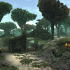 Capture de Star Trek Online