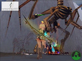 Capture