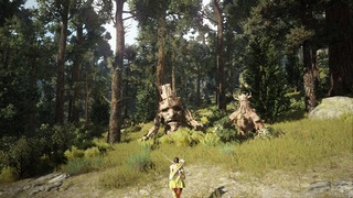 Forêt Forêt