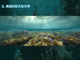 Fonds marins Fonds marins