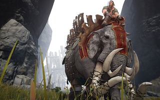 Monture : éléphant Monture : éléphant
