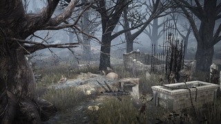 Paysage macabre Paysage macabre
