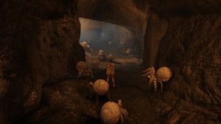 Antre d'araignées Antre d'araignées
