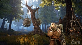 Forêt Forêt