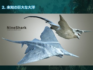 Faune maritime : NineShark Faune maritime : NineShark