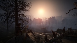 Paysage Paysage