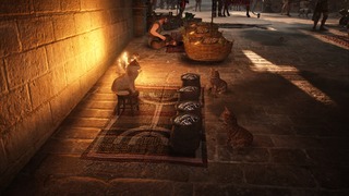 Les chats et les poissons Les chats et les poissons