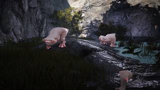 Mobs étranges Mobs étranges