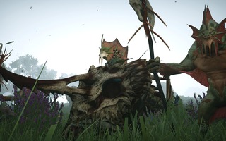Bestiaire - Saurien Bestiaire - Saurien