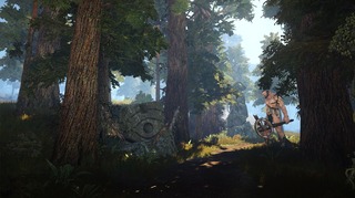 Forêt Forêt