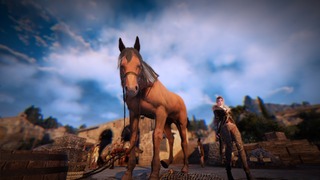 Cheval joueur Cheval joueur