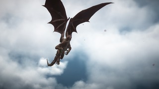 Dragon Dragon