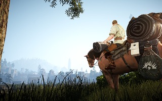 Monture : cheval Monture : cheval
