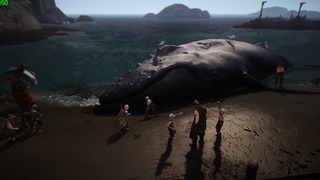 Baleine échouée Baleine échouée