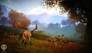 Image de Skyforge #93121 Image de Skyforge #93121
