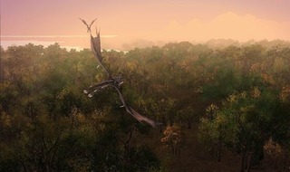 Dragon Dragon