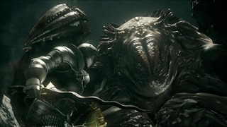 Araignée géante Araignée géante