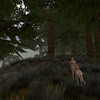 WASTELANDS