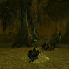 Capture de World of Warcraft