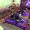 Capture de World of Warcraft