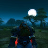 Capture de World of Warcraft