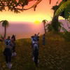 Capture de World of Warcraft