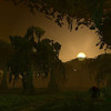 Capture de World of Warcraft