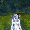 Capture de World of Warcraft