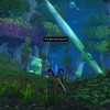 Capture de World of Warcraft