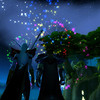 Capture de World of Warcraft