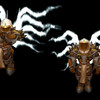 Capture de World of Warcraft