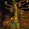 Capture de World of Warcraft