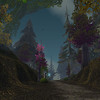 Capture de World of Warcraft