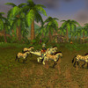 Capture de World of Warcraft
